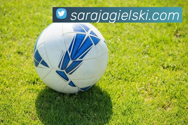 mksports官方app官网入口平台生态图